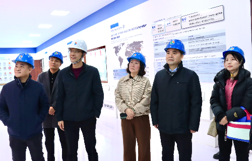 陽(yáng)光電源股份、宜賓智能制造行業(yè)協(xié)會(huì)、宜賓安徽商會(huì)調(diào)研遠(yuǎn)東電纜（宜賓）