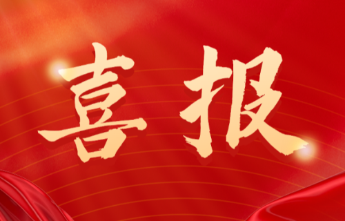 喜報(bào)！遠(yuǎn)東電纜（宜賓）胡清平榮登2025年第一批擬認(rèn)定主導(dǎo)產(chǎn)業(yè)企業(yè)人才名單
